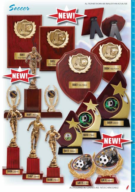 Awards 0809_Page_01